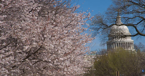 Washington Mentorship Program: Field Practicum